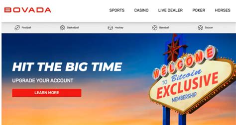 bovada website